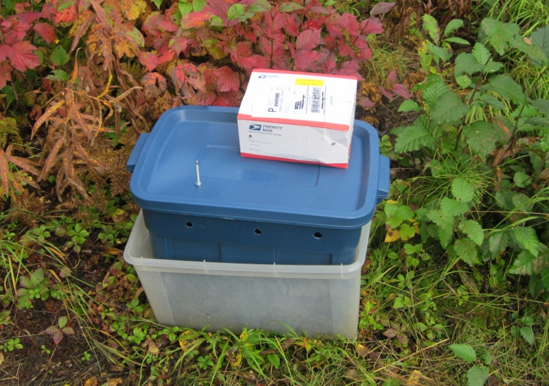 DIY Worm Composting (or “Vermicomposting”) in Alaska